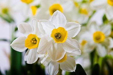 平台动作游戏《亞路塔》Steam页面上线 支持繁中